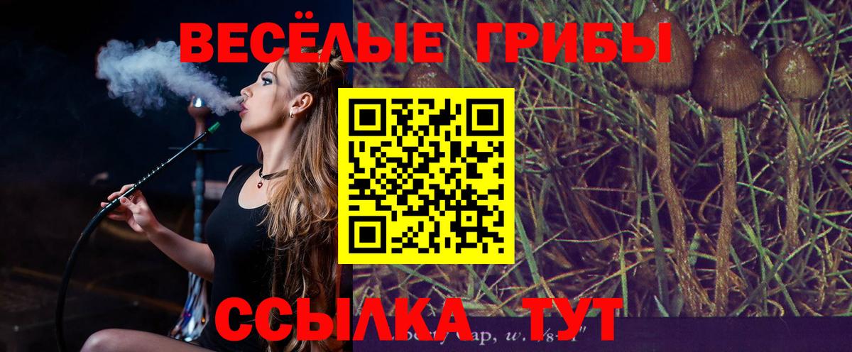 Псилоцибиновые грибы Psilocybine cubensis  Галлюциногенные грибы Cubensis  Богородицк  купить наркоту  Вход с VPN 