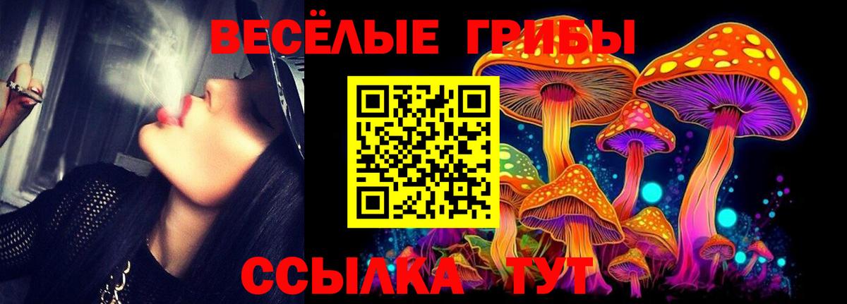 Галлюциногенные грибы MAGIC MUSHROOMS Богородицк